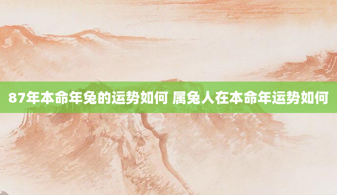 87年本命年兔的运势如何 属兔人在本命年运势如何