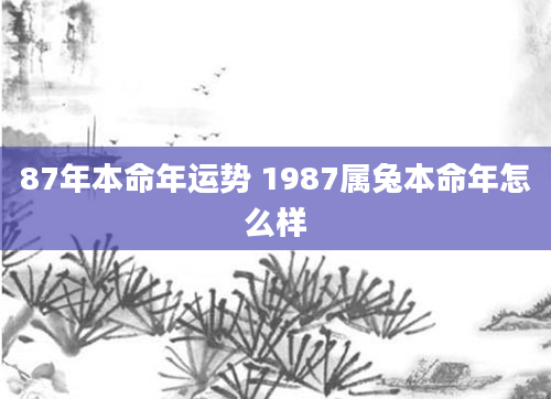 87年本命年运势 1987属兔本命年怎么样