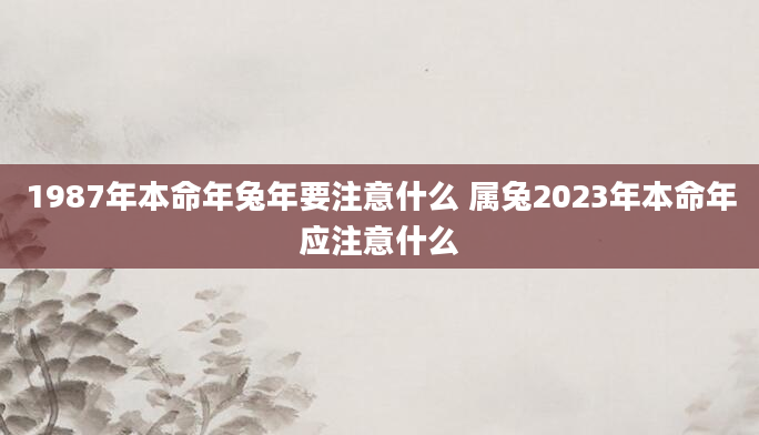 1987年本命年兔年要注意什么 属兔2023年本命年应注意什么