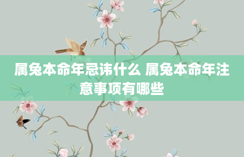 属兔本命年忌讳什么 属兔本命年注意事项有哪些