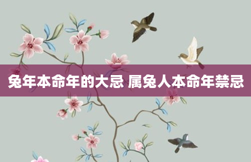 兔年本命年的大忌 属兔人本命年禁忌