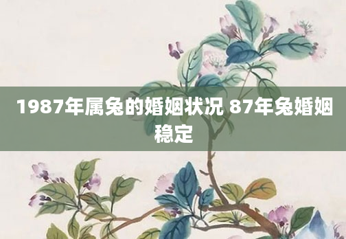 1987年属兔的婚姻状况 87年兔婚姻稳定
