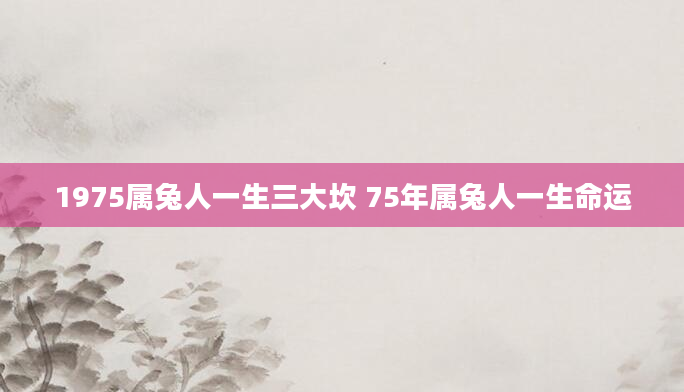 1975属兔人一生三大坎 75年属兔人一生命运