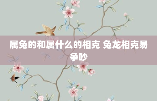 属兔的和属什么的相克 兔龙相克易争吵