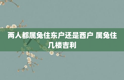 两人都属兔住东户还是西户 属兔住几楼吉利