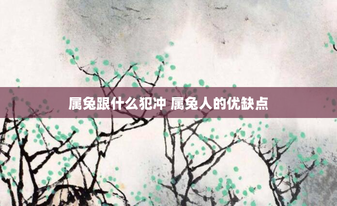 属兔跟什么犯冲 属兔人的优缺点