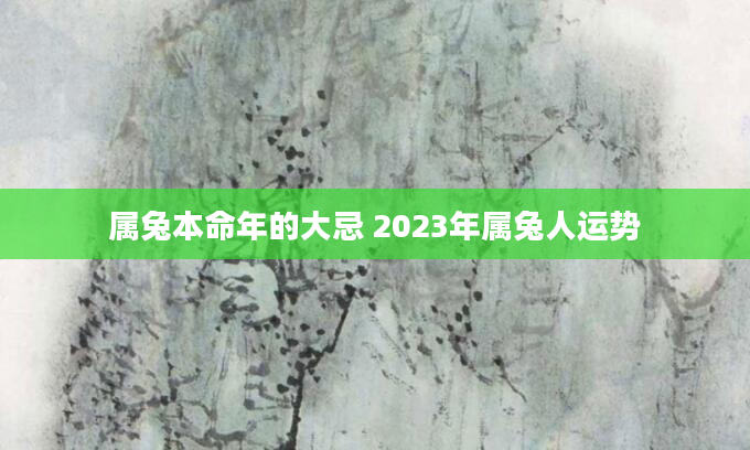 属兔本命年的大忌 2023年属兔人运势