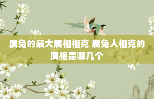 属兔的最大属相相克 属兔人相克的属相是哪几个