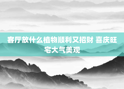 客厅放什么植物顺利又招财 喜庆旺宅大气美观