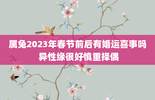 属兔2023年春节前后有婚运喜事吗 异性缘很好慎重择偶