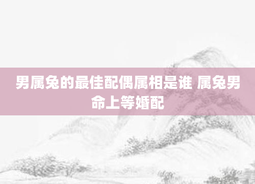 男属兔的最佳配偶属相是谁 属兔男命上等婚配