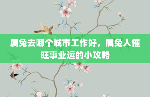 属兔去哪个城市工作好，属兔人催旺事业运的小攻略