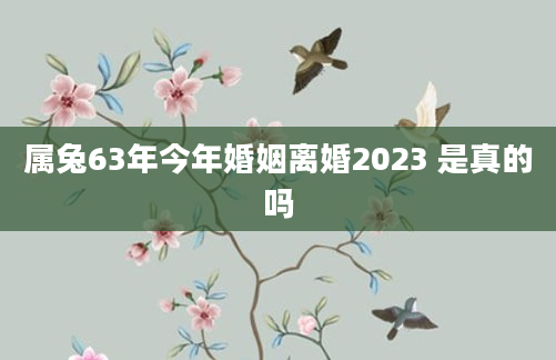 属兔63年今年婚姻离婚2023 是真的吗