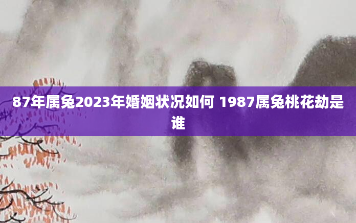 87年属兔2023年婚姻状况如何 1987属兔桃花劫是谁