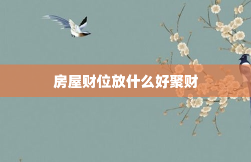 房屋财位放什么好聚财