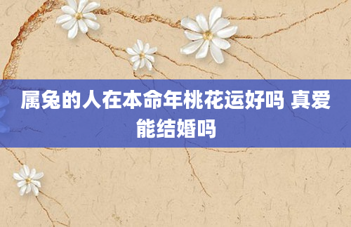 属兔的人在本命年桃花运好吗 真爱能结婚吗