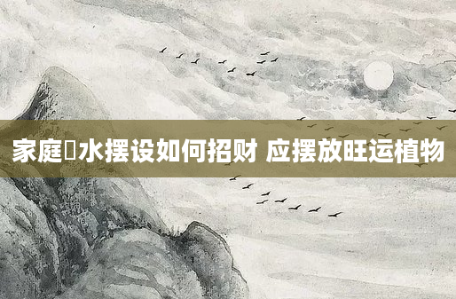 家庭風水摆设如何招财 应摆放旺运植物