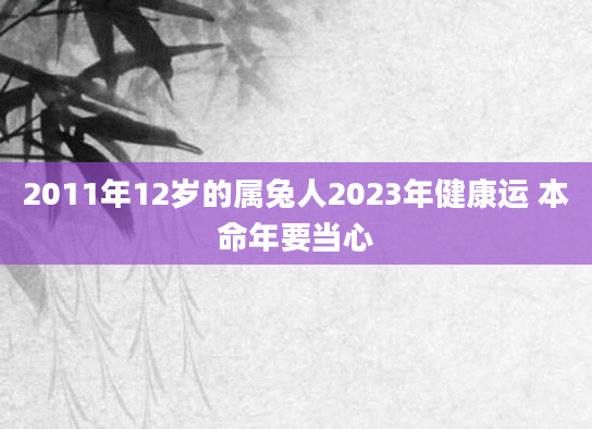 2011年12岁的属兔人2023年健康运 本命年要当心