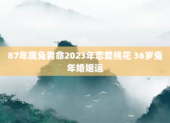 87年属兔男命2023年恋爱桃花 36岁兔年婚姻运