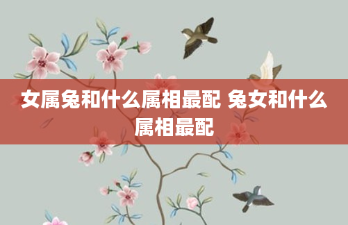 女属兔和什么属相最配 兔女和什么属相最配
