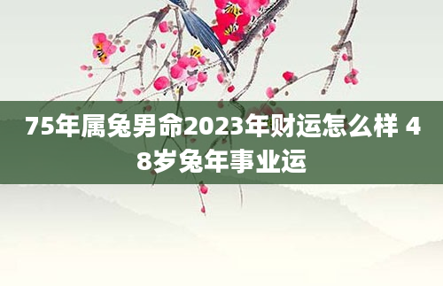 75年属兔男命2023年财运怎么样 48岁兔年事业运