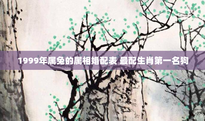 1999年属兔的属相婚配表 最配生肖第一名狗