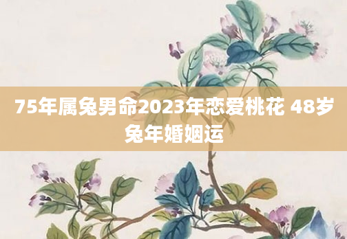 75年属兔男命2023年恋爱桃花 48岁兔年婚姻运