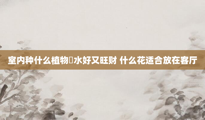 室内种什么植物風水好又旺财 什么花适合放在客厅