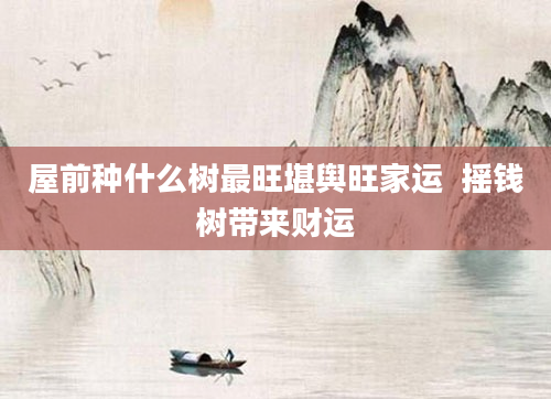 屋前种什么树最旺堪舆旺家运  摇钱树带来财运