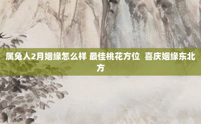 属兔人2月姻缘怎么样 最佳桃花方位  喜庆姻缘东北方