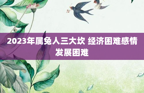 2023年属兔人三大坎 经济困难感情发展困难
