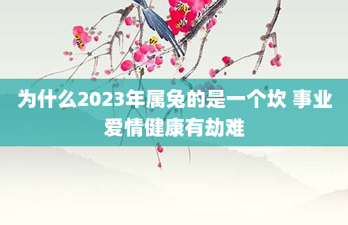 为什么2023年属兔的是一个坎 事业爱情健康有劫难
