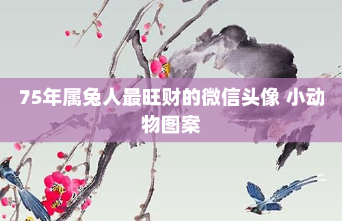 75年属兔人最旺财的微信头像 小动物图案