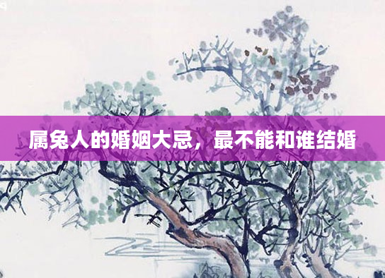 属兔人的婚姻大忌，最不能和谁结婚