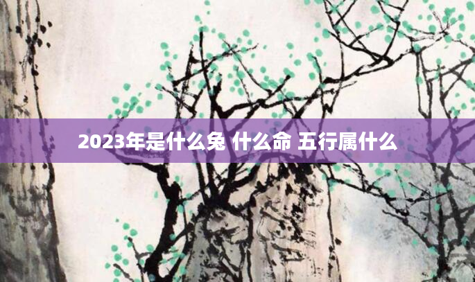 2023年是什么兔 什么命 五行属什么