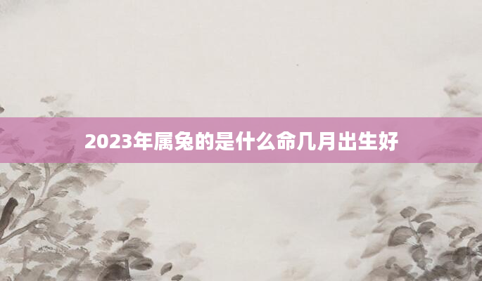 2023年属兔的是什么命几月出生好