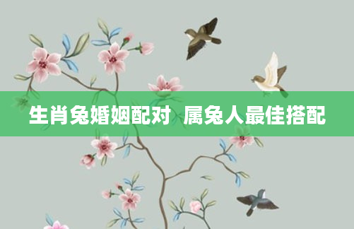 生肖兔婚姻配对  属兔人最佳搭配