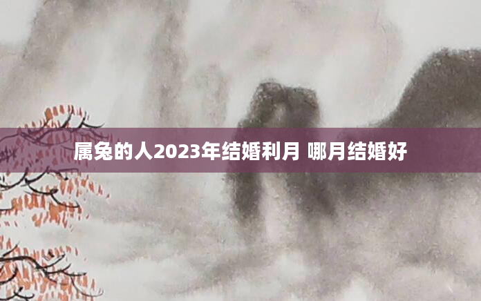 属兔的人2023年结婚利月 哪月结婚好