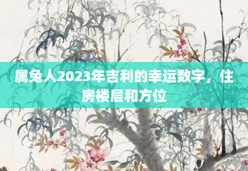属兔人2023年吉利的幸运数字，住房楼层和方位