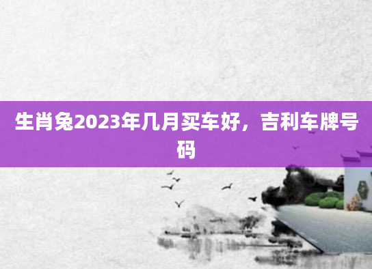 生肖兔2023年几月买车好，吉利车牌号码