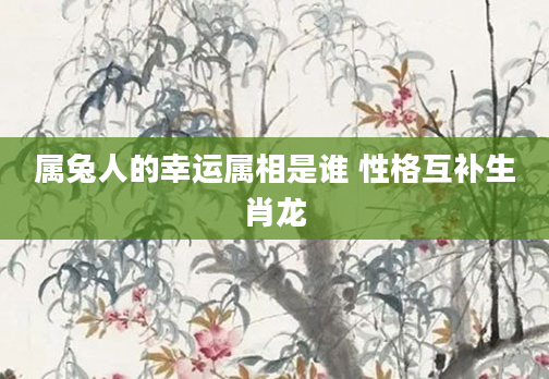 属兔人的幸运属相是谁 性格互补生肖龙
