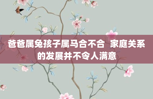 爸爸属兔孩子属马合不合  家庭关系的发展并不令人满意
