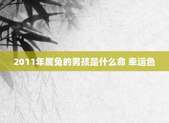 2011年属兔的男孩是什么命 幸运色