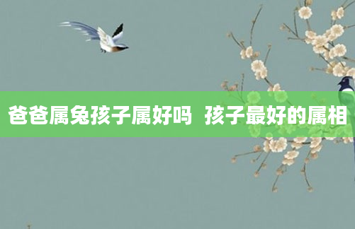 爸爸属兔孩子属好吗  孩子最好的属相