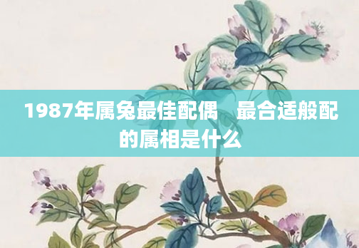 1987年属兔最佳配偶   最合适般配的属相是什么