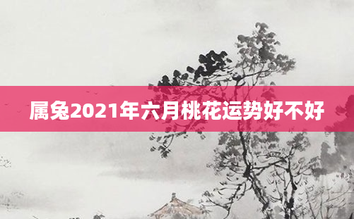 属兔2021年六月桃花运势好不好