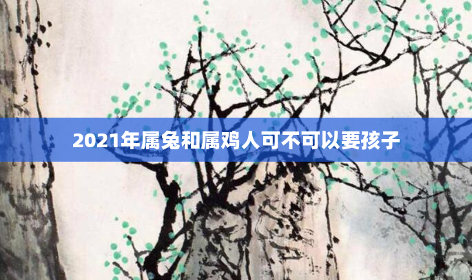 2021年属兔和属鸡人可不可以要孩子