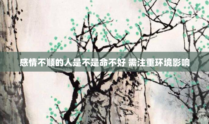感情不顺的人是不是命不好 需注重环境影响