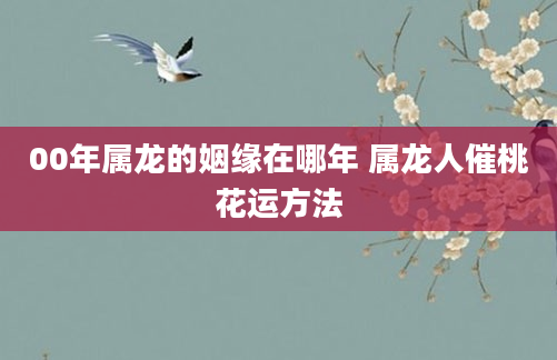 00年属龙的姻缘在哪年 属龙人催桃花运方法