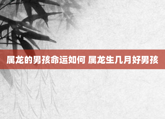 属龙的男孩命运如何 属龙生几月好男孩